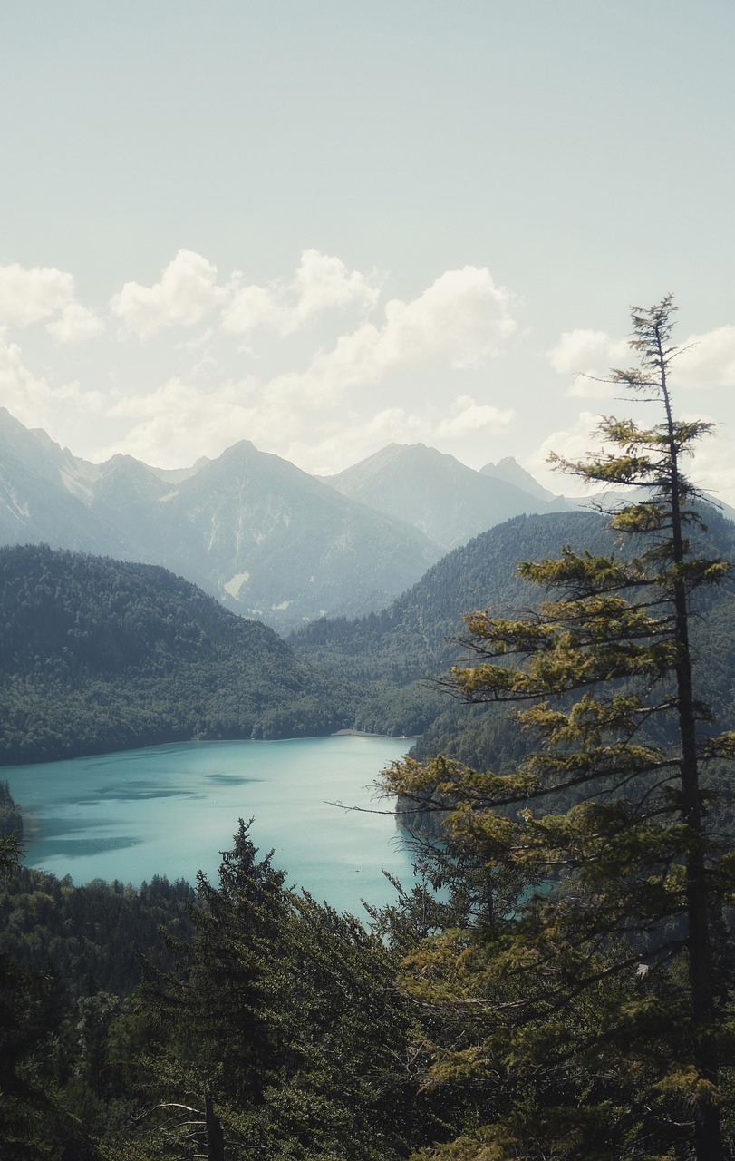 landscape, mountains, nature, forest, alps, germany, lake